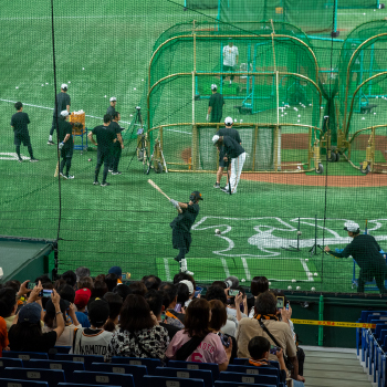 打撃練習見学会